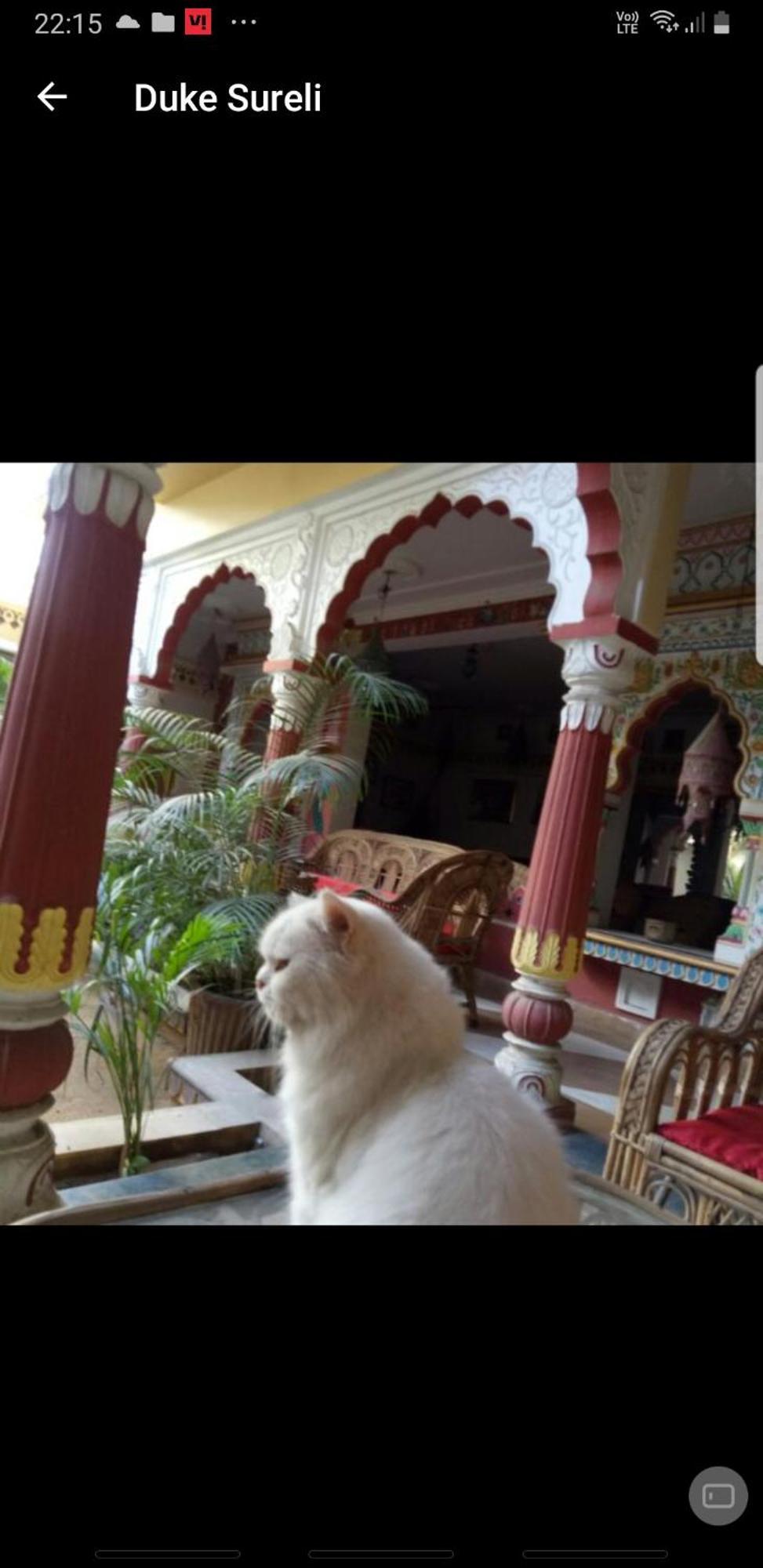 شقة Sureli Haveli جايبور الغرفة الصورة